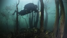 Fotografije od kojih zastaje dah! Zaronili među drveće i suhozide u jezero koje nastaje dvaput godišnje