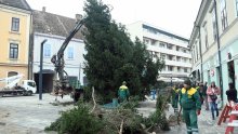 Hrvatska uvezla 215 puta više božićnih drvaca nego što je izvezla