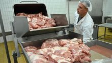Laburisti o Podravci: Kolju kravu zbog jedne šnicle