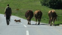 Udruga Život traži hitne mjere za poljoprivredu; isplata poticaja do 15. travnja, oslobađanje plaćanja zakupa....