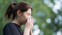 Počela sezona alergija; visoka koncentracija peludi čempresa u zraku
