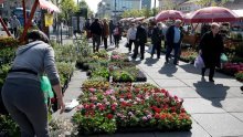 Bogat izbor povoljnih sadnica za uređenje vrta i balkona