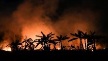 Požari ponovno u velikom broju haraju Amazonijom