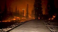Kaliforniju pogodio toplinski val, temperature se penju do 50 stupnjeva; haraju požari