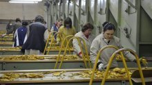 Europski statističari tvrde: Hrvatska ne zna koristiti resurse