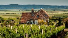 [FOTO] Sigurni smo da niste imali pojma da ovako nešto možete naći u Slavoniji - od luksuznih vila do kuća za robinzonski odmor