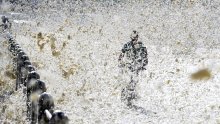 SAD službeno izašao iz Pariškog sporazuma za borbu protiv klimatskih promjena