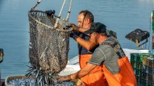 Vučković: Ribari ne smiju trpjeti zbog spora sa Slovenijom