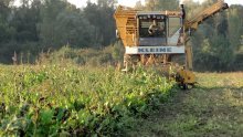 Pad dioničkih indeksa i prometa; dionica Vira prekinula seriju snažnih rasprodaja