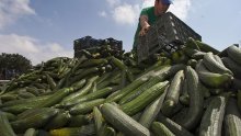 Danska i Italija dopustile konzumiranje španjolskih krastavaca