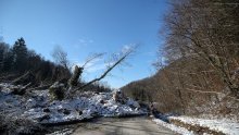 [FOTO/VIDEO] Aktiviralo se klizište u Zagorju: Zemljana lavina čupala drveće i u potpunosti blokirala državnu cestu