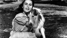 Elizabeth Taylor čula je da pas njezine prijateljice ima rak: Ono što je potom učinila otkriveno je tek sada