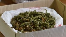 Dileru zatečenom s 12,8 kilograma marihuane određen istražni zatvor