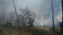 [FOTO/VIDEO] Ugašen požar na Marjanu! Splitski vatrogasci poslali nekoliko vozila na teren