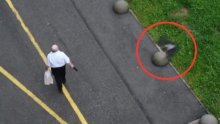 [VIDEO] Još jedan napad vrana u Zagrebu, ovaj put nastradao je muškarac na Trešnjevci; iz Grada objavili upute što učiniti u takvim slučajevima