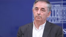 Pupovac: SDSS će biti suzdržan na glasanju o Đurđević, ne znam za druge manjince