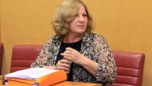 'Ustav jasno kaže koji se zakoni izglasavaju dvotrećinskom većinom!'