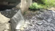 [VIDEO] Abnormalne količine amonijaka, željeza i mangana u Karašici, Valpovčani ustali u spas svoje rijeke