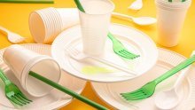 Slovenija zabranjuje plastične jednokratne tanjure i pribor za jelo te plastične štapiće za uši
