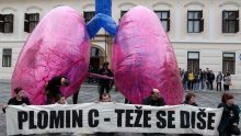 Pločanski referendum uzburkao strasti u Istri
