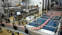 Industrijska proizvodnja porasla deveti mjesec zaredom