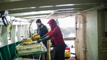 Francuska optužila Britaniju da ribare drži kao 'taoce' u političke svrhe