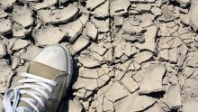 Zbog suše, proglašena elementarna nepogoda za Vukovarsko-srijemsku županiju