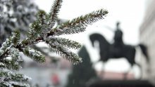 [FOTO/VIDEO] Na glavni zagrebački trg stigla božićna jelka, a njome počinje i Advent u Zagrebu 2021.