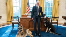 U Bijelu kuću stigao novi stanar, štene njemačkog ovčara koje je Joe Biden s ponosom predstavio