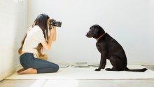 Ovo je šest trikova za savršenu fotografiju vašeg kućnog ljubimca