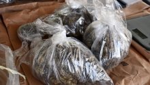 Mladiću u stanu u Makarskoj policija otkrila 800 grama marihuane