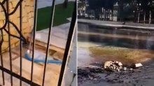 Hotelski kompleks ispraznio bazen u uvalu u Supetru