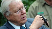 Attenborough, WHO i Tihanovska među kandidatima za Nobela za mir