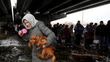 [VIDEO/FOTO] Ptice, hrčci, psi, mačke... Ukrajinci u bijegu od ruske invazije ne odvajaju se od svojih kućnih ljubimaca