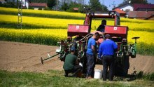 Velika prilika za poljoprivrednike: Ministarstvo dodijelilo 33 ugovora iz Programa ruralnog razvoja