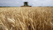 Kako se EU nosi s globalnom krizom hrane: U Hrvatskoj nema nižih cijena u trgovinama unatoč smanjenju stope PDV-a