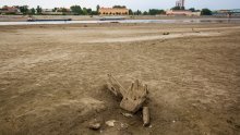 U Međimurju zbog suše proglašena prirodna nepogoda, šteta je oko 150 milijuna kuna