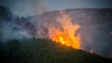 U tijeku sanacija požarišta kod Skradina, u gašenju požara sudjelovalo 46 vatrogasaca