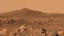 Matt Damon i Hollywood već su na filmu uzgajali hranu na Marsu, NASA tvrdi da je uz lucernu to vrlo moguće