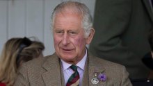 Kralj Charles III. nema putovnicu ni vozačku dozvolu, ne glasa na izborima, ali je zato vlasnik svih labudova, dupina i kitova u kraljevstvu