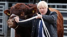 Boris Johnson vraća se u Britaniju kako bi pokušao dobiti natrag stari posao, kritičari bijesni: Stvorit će samo još više kaosa!