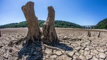 O klimatskom skupu COP27 i zaustavljanju globalnog zagrijavanja: 'Dosadašnji rezultati su blijedi, a Europa ugrožena'