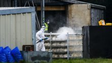 Ministarstvo upozorava: Potvrđeni novi slučajevi ptičje gripe u Hrvatskoj
