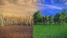 Globalno zagrijavanje, deforestacija i požari mogli bi ubrzati propast Amazonije