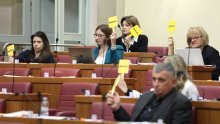 Saborska oporba o premlaćivanju HGSS-ovca: Tražimo očitovanje ministra Božinovića