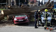 [FOTO/VIDEO] U Osijeku i Zagrebu zbog olujnog vjetra padala stabla i stupovi, oglasio se i Državni meteorološki zavod
