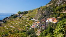 Vogue hvali tri hrvatske vinske regije i piše kako se pred njima može 'sakriti' i razvikana Toskana