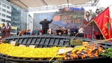 Neretvani dijele desetak tona mandarina Zagrepčanima