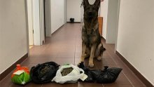 Policijski pas Boy u Šibeniku nanjušio gomilu droge, pogledajte što je sve otkrio
