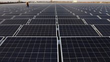 Solarni bum u Hrvatskoj: Raste broj solarnih elektrana